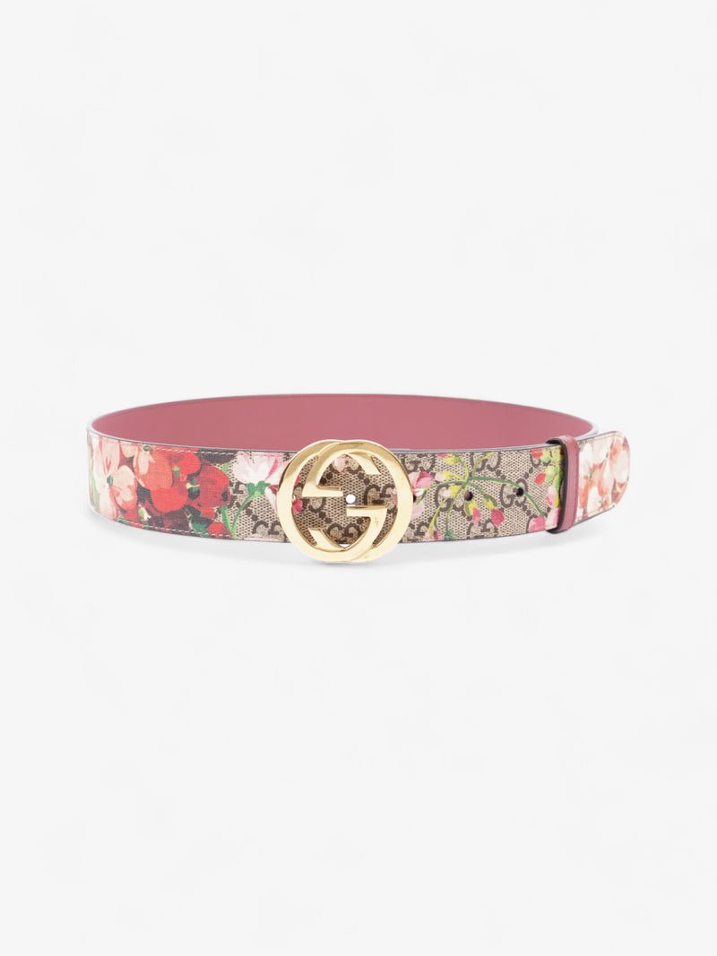  Gucci Blooms Belt GG Supreme / Bloom Canvas 80cm / 32