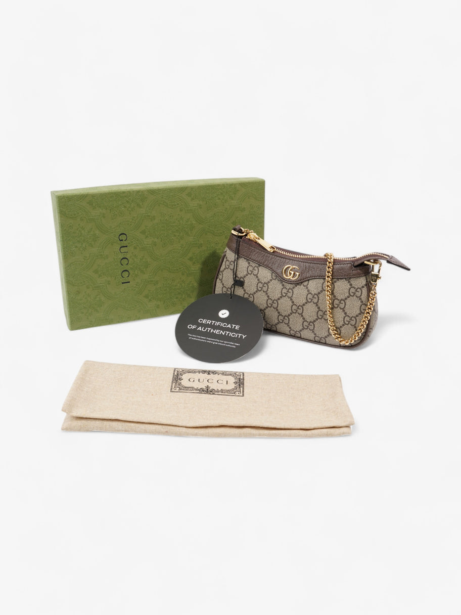 Gucci Ophidia GG Supreme / Brown Canvas Mini Image 9