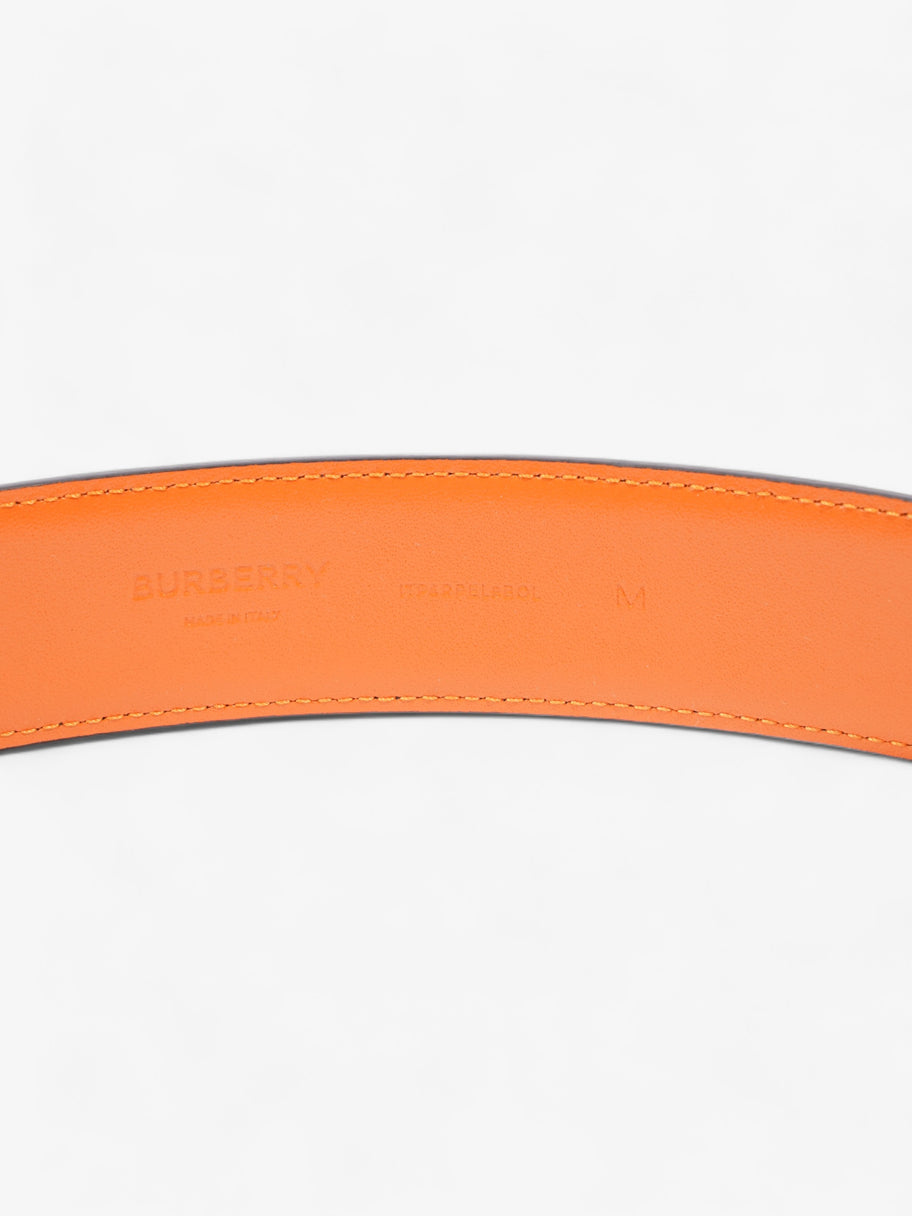 TB Belt Black / Orange Leather M Image 5