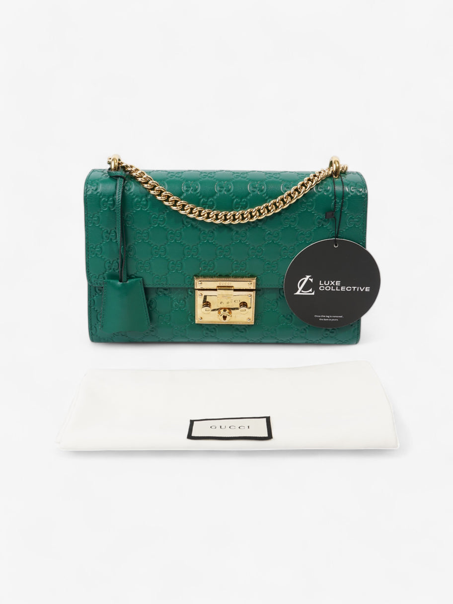 Gucci padlock green online