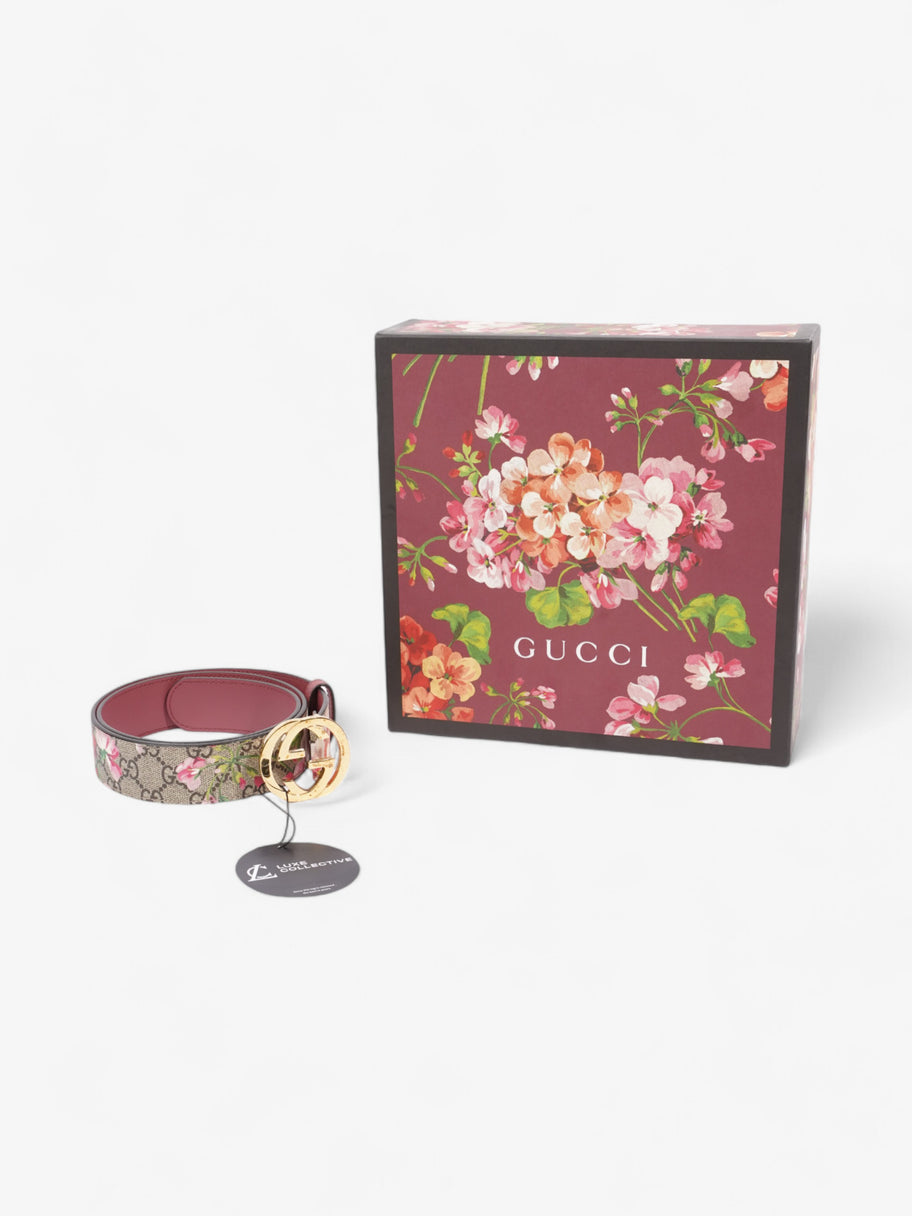 Gucci GG Bloom Belt Bloom / Gold Canvas 85cm / 34