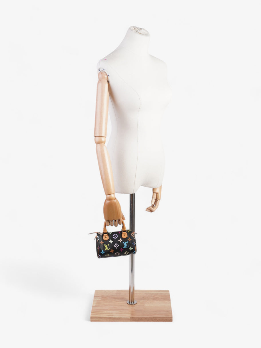 Louis Vuitton x Takashi Murakami Speedy Black / Monogram Multicolour Coated Canvas Nano Image 2