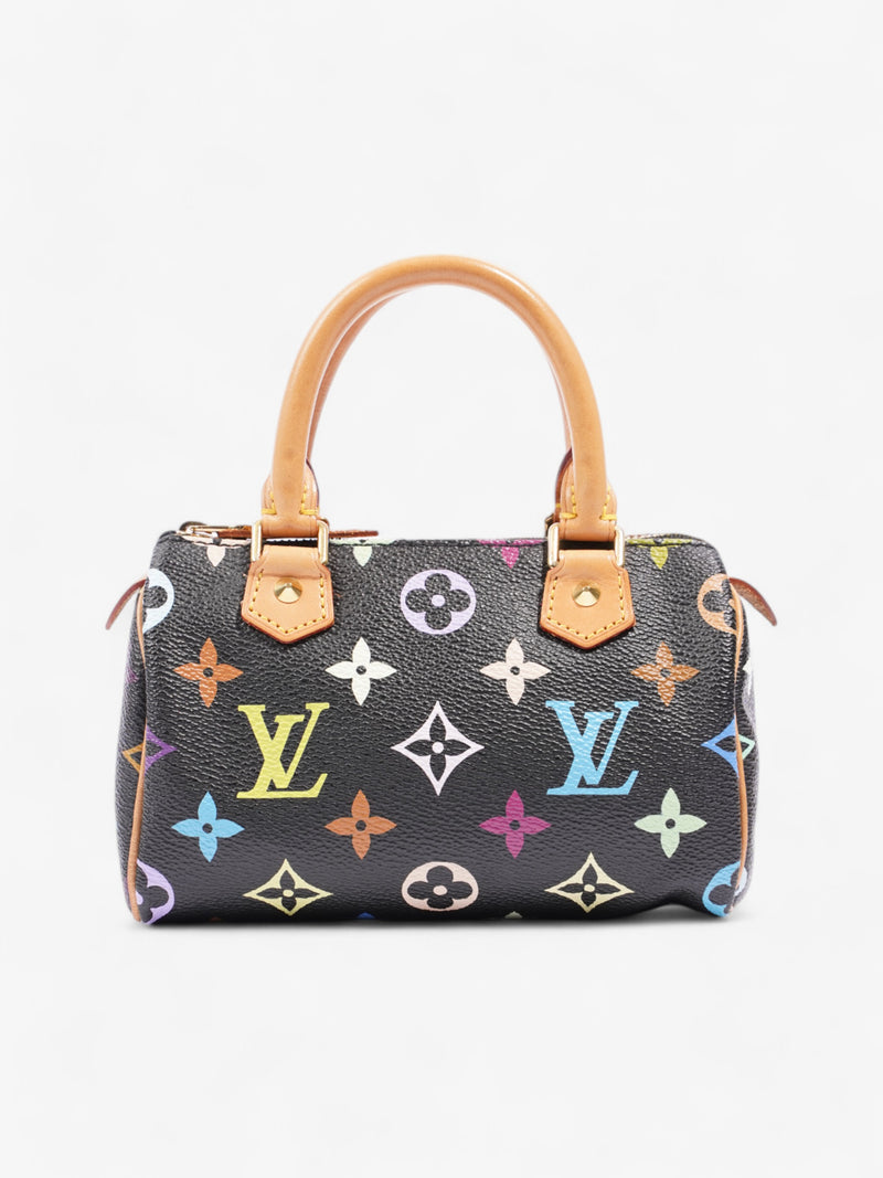  Louis Vuitton x Takashi Murakami Speedy Black / Monogram Multicolour Coated Canvas Nano