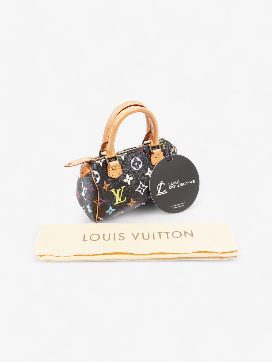 Louis Vuitton x Takashi Murakami Speedy Black / Monogram Multicolour Coated Canvas Nano Image 8