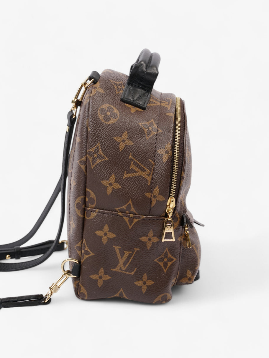 Louis Vuitton Palm Springs Monogram Coated Canvas Mini Image 5