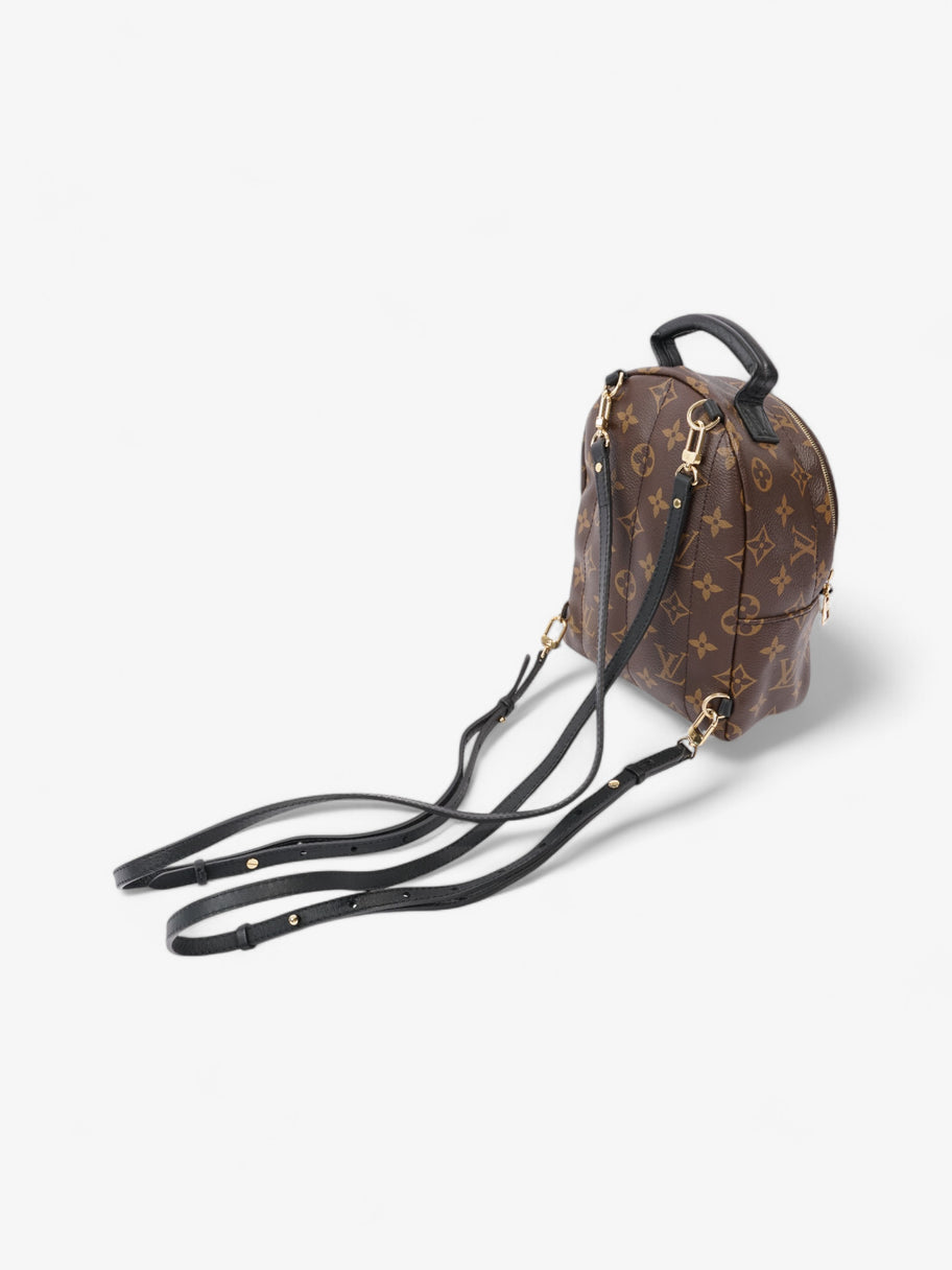 Louis Vuitton Palm Springs Monogram Coated Canvas Mini Image 7