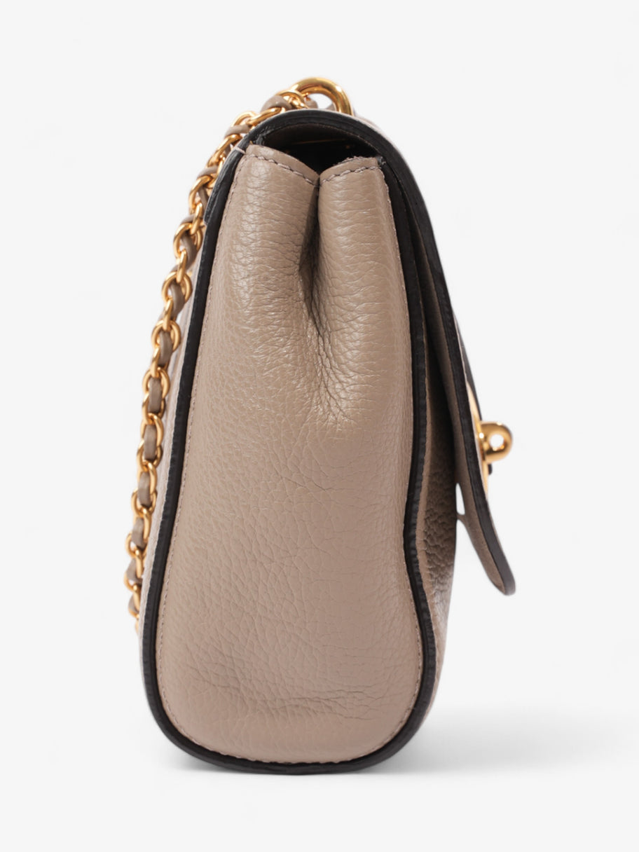 Mulberry Lily Dark Beige Leather Image 5