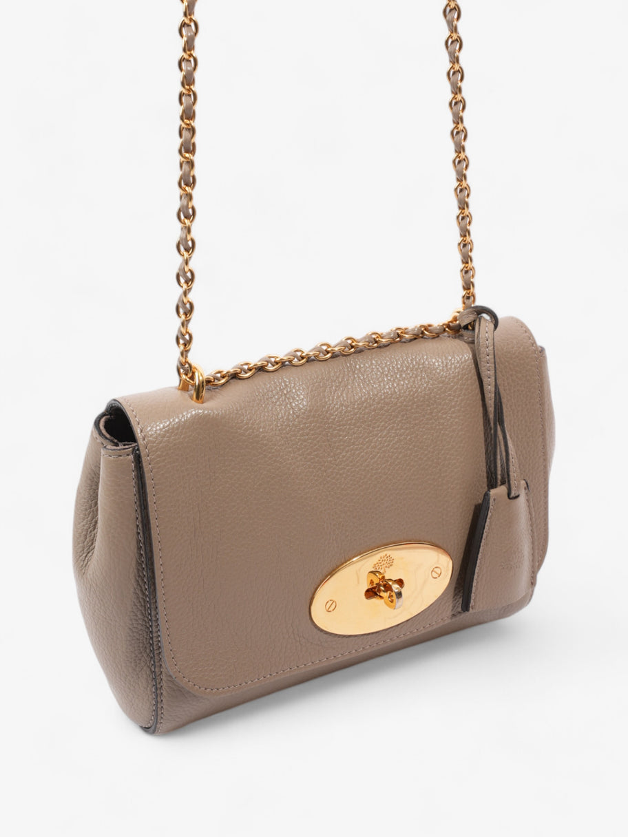 Mulberry Lily Dark Beige Leather Image 7