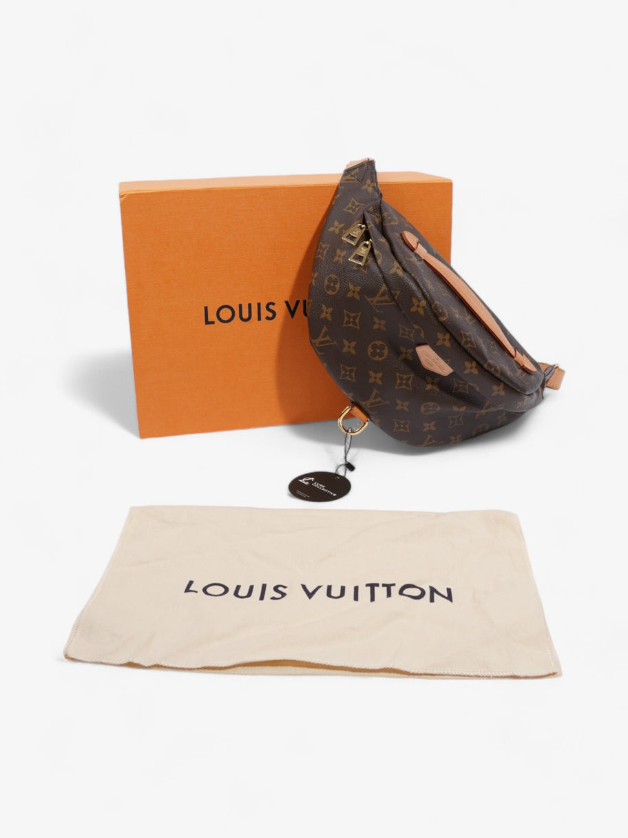 Louis Vuitton Bum Bag Monogram Coated Canvas Image 9