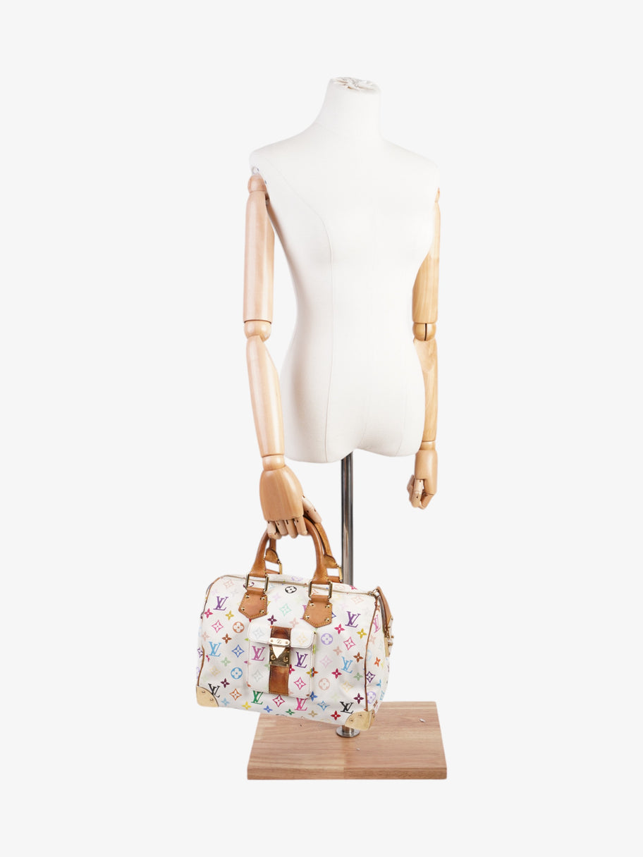 Louis Vuitton Murakami Speedy Monogram Multicolour / White Canvas 30 Image 2