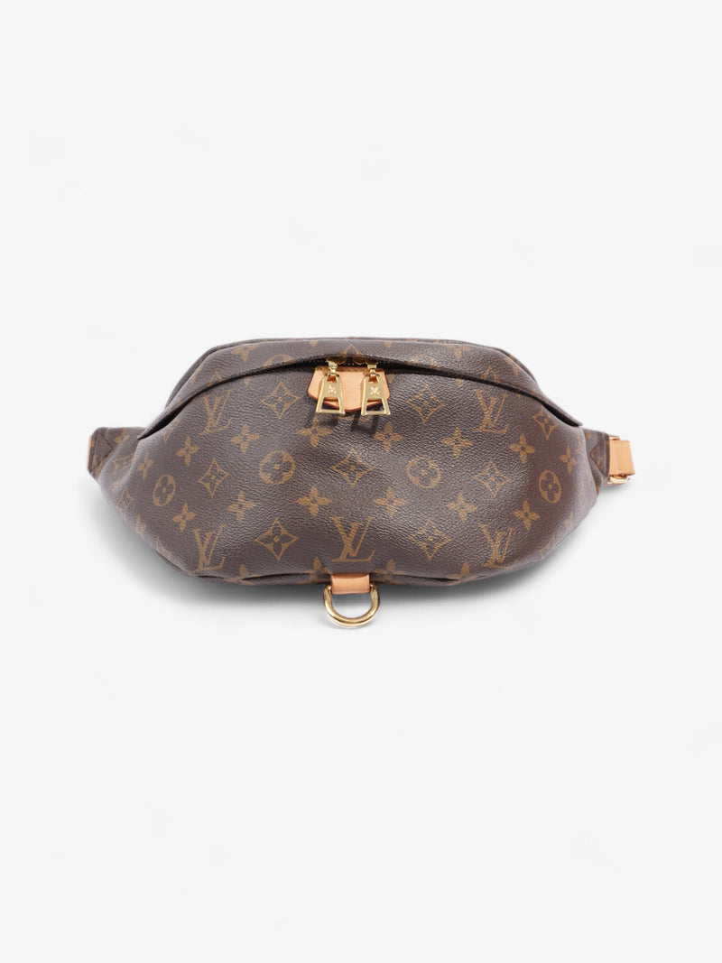  Louis Vuitton Bum Bag Monogram Coated Canvas