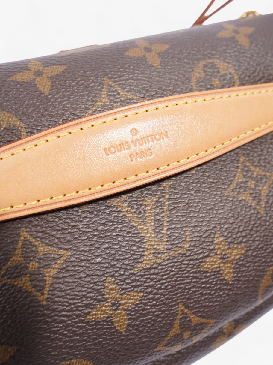 Louis Vuitton Bum Bag Monogram Coated Canvas Image 7