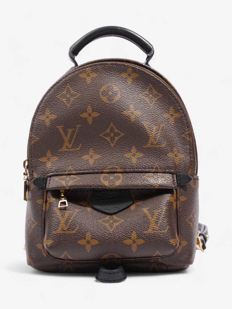 Louis Vuitton Palm Springs Monogram Coated Canvas Image 1