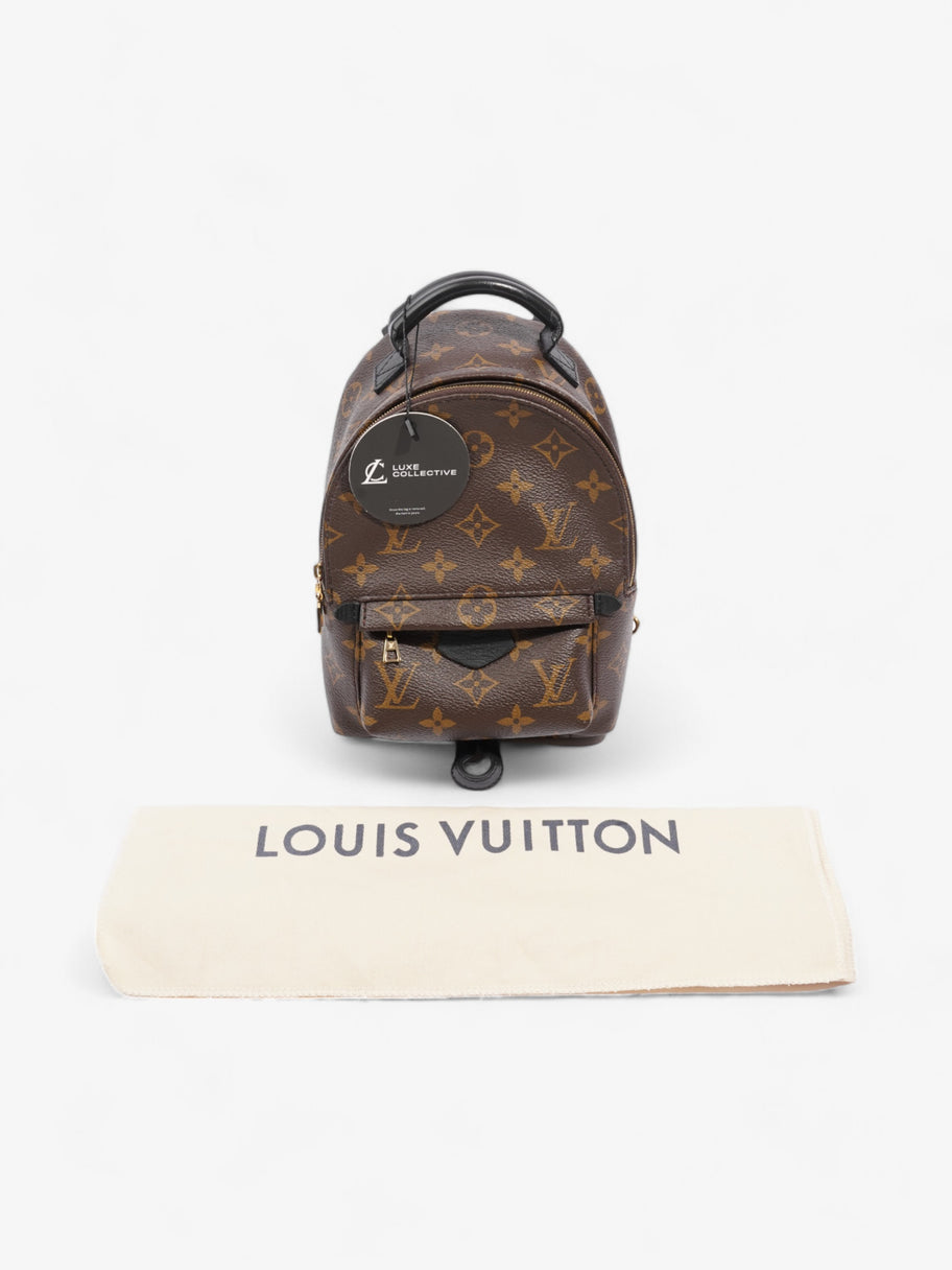 Louis Vuitton Palm Springs Monogram Coated Canvas Image 9