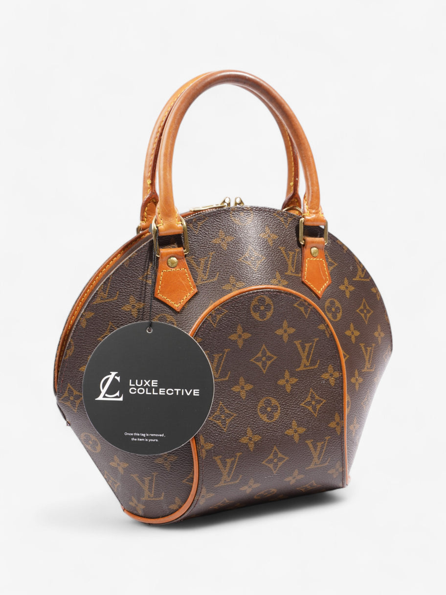 Louis Vuitton Ellipse Monogram Coated Canvas PM Image 8