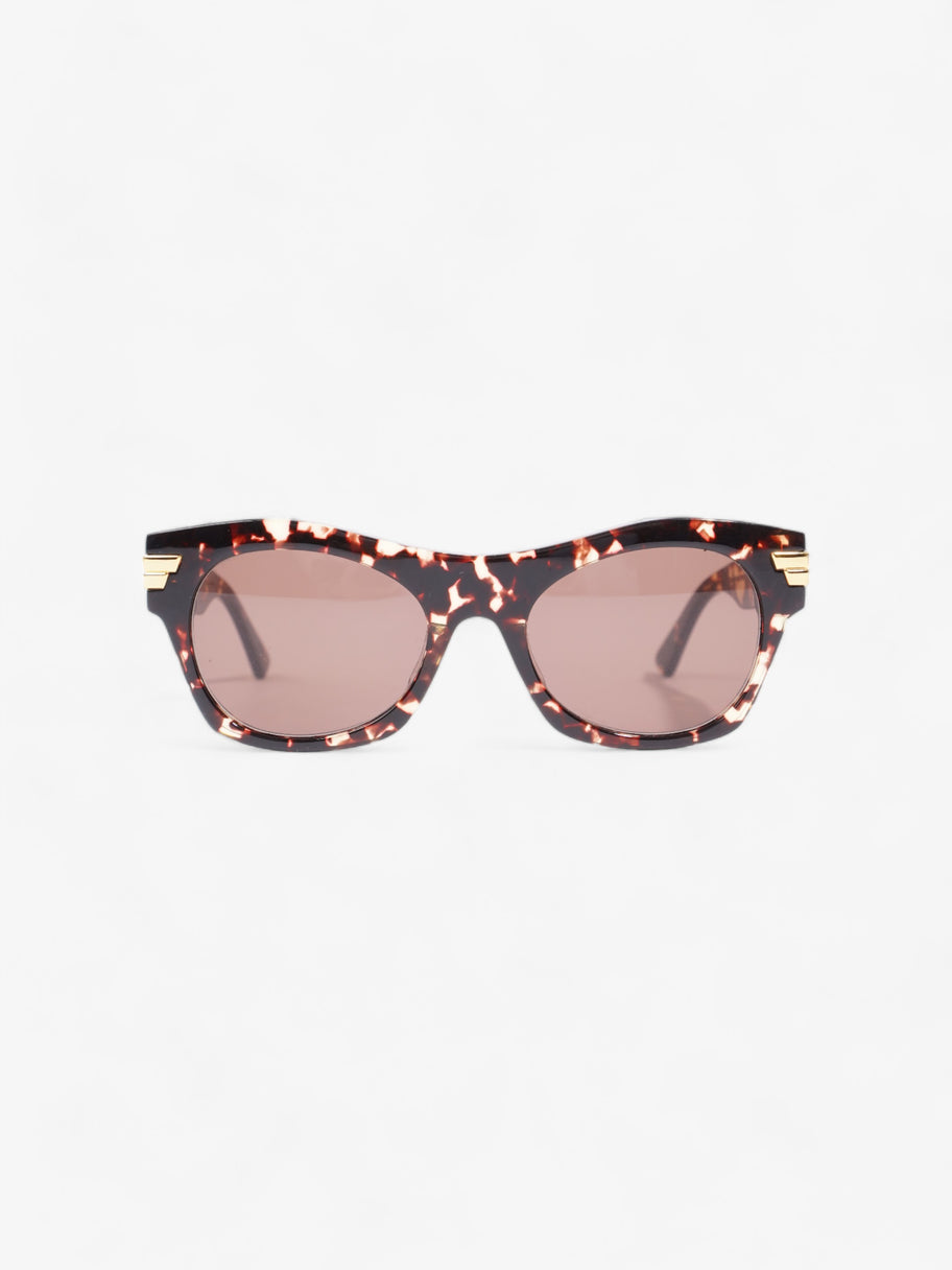 Bottega Veneta Round Sunglasses Havana Brown Acetate 145mm Image 1