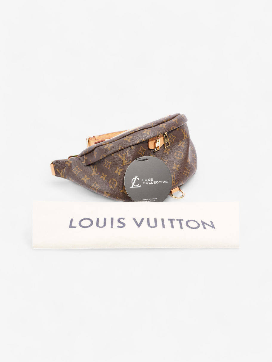 Louis Vuitton Bum Bag Monogram Coated Canvas Image 8