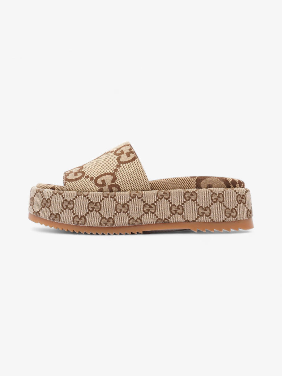 Gucci Angelina Camel And Ebony GG Supreme Canvas EU 38 UK 5 Image 5