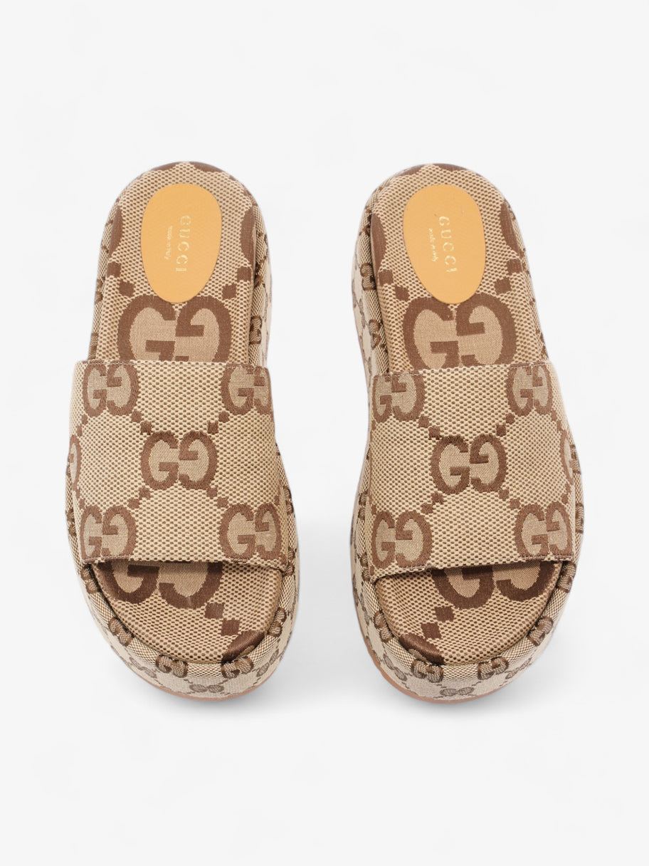 Gucci Angelina Camel And Ebony GG Supreme Canvas EU 38 UK 5 Image 8