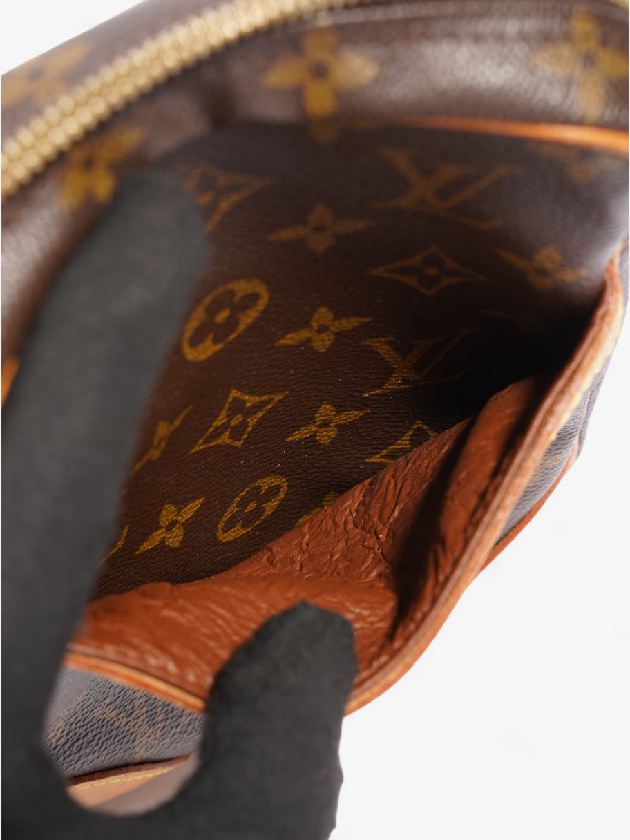 Louis Vuitton Danube Monogram Coated Canvas Image 9