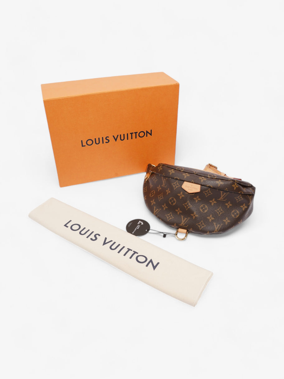 Louis Vuitton Bum Bag Monogram Coated Canvas Image 9