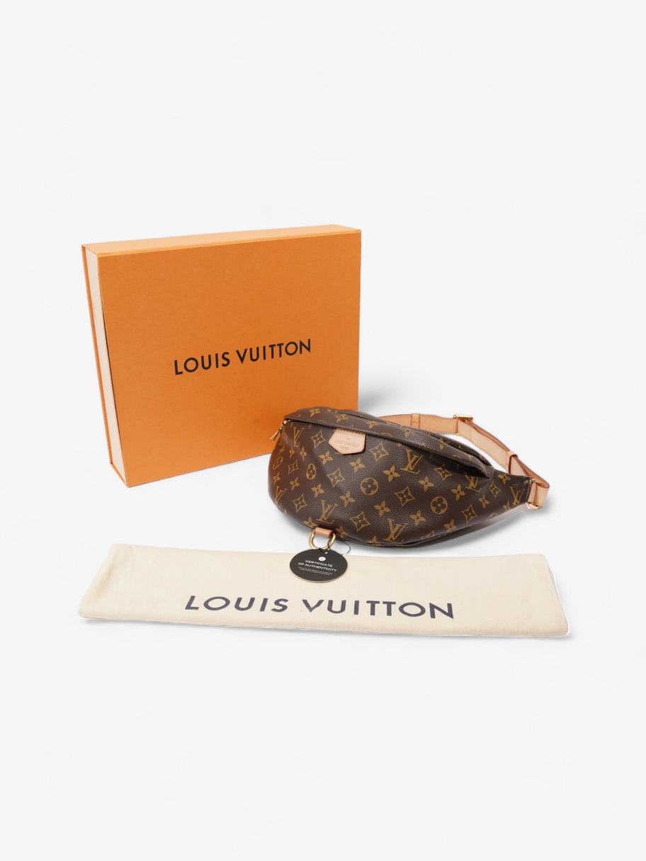 Louis Vuitton Bum Bag Monogram Coated Canvas Image 9