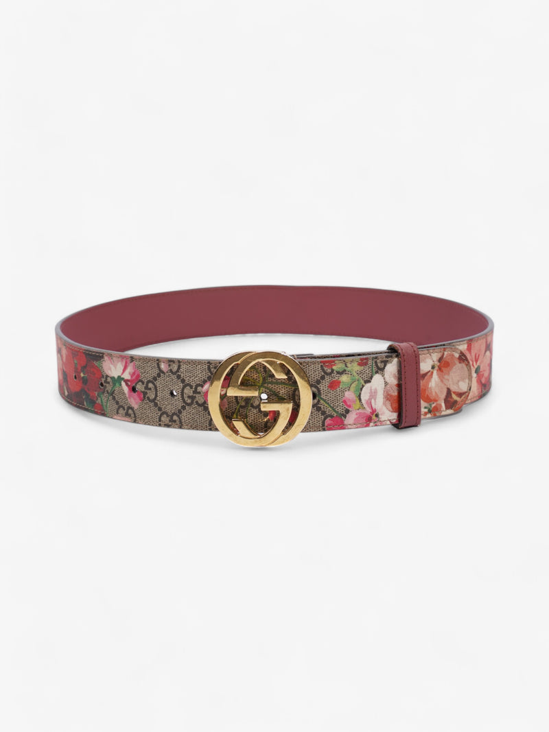  Gucci Interlocking G Belt GG Bloom / GG Supreme Canvas 75cm / 30