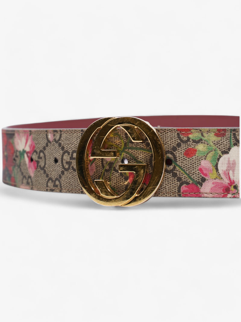  Gucci Interlocking G Belt GG Bloom / GG Supreme Canvas 75cm / 30