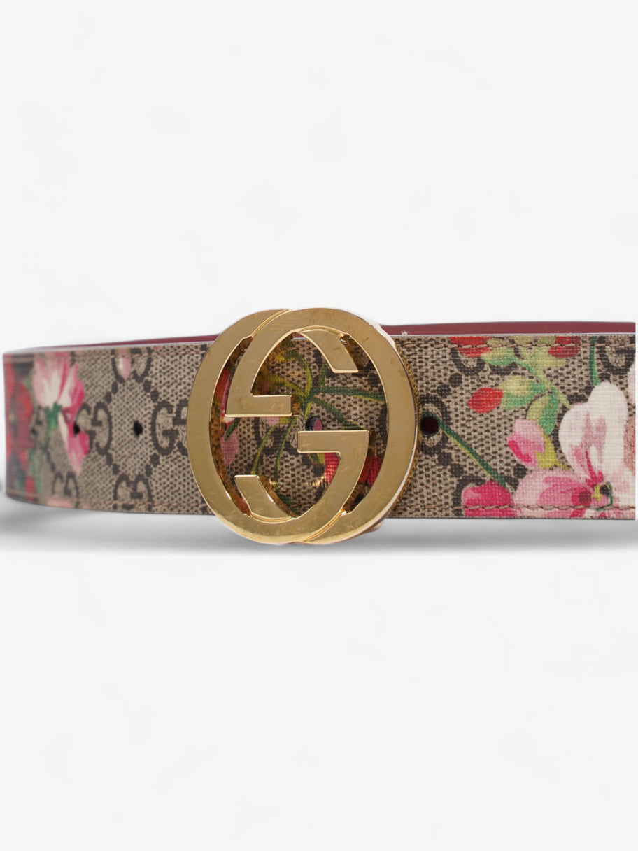 Gucci Interlocking G Belt GG Bloom / GG Supreme Canvas 75cm / 30