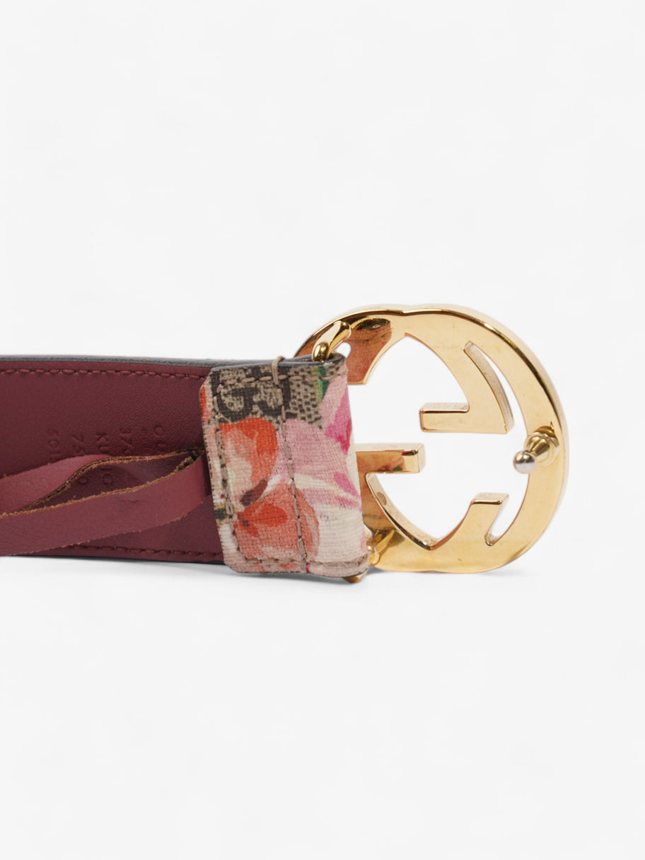 Gucci Interlocking G Belt GG Bloom / GG Supreme Canvas 75cm / 30