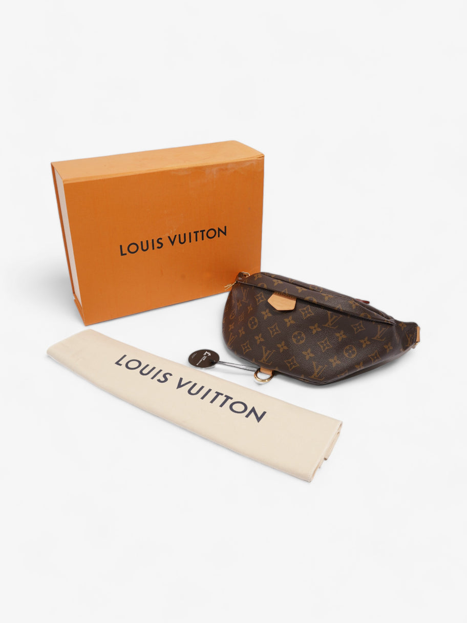 Louis Vuitton Bumbag Monogram Coated Canvas Image 10