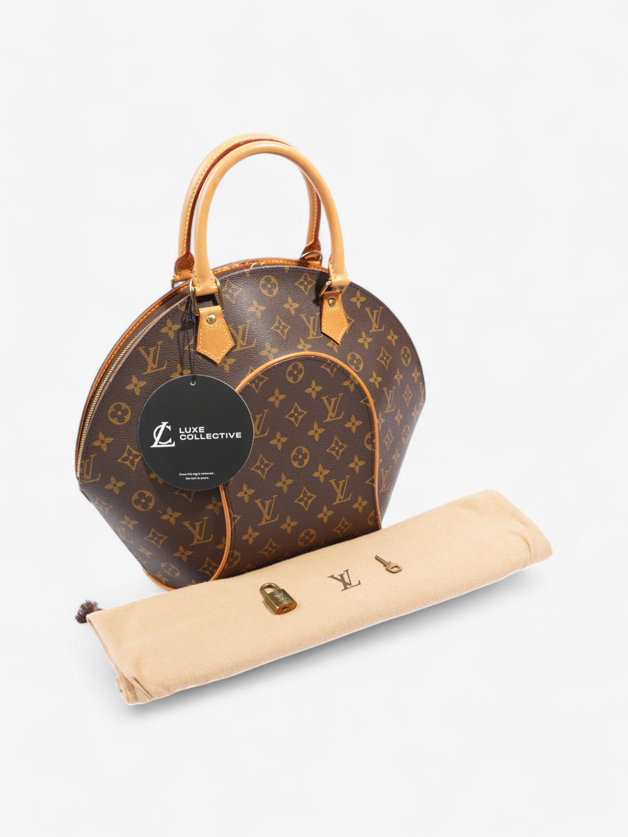 Louis Vuitton Ellipse  Monogram Coated Canvas MM Image 9