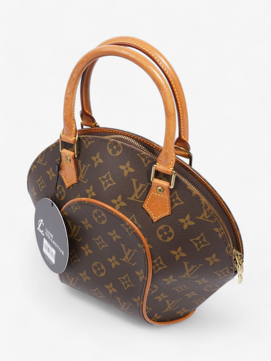 Louis Vuitton Ellipse Monogram Coated Canvas PM Image 11