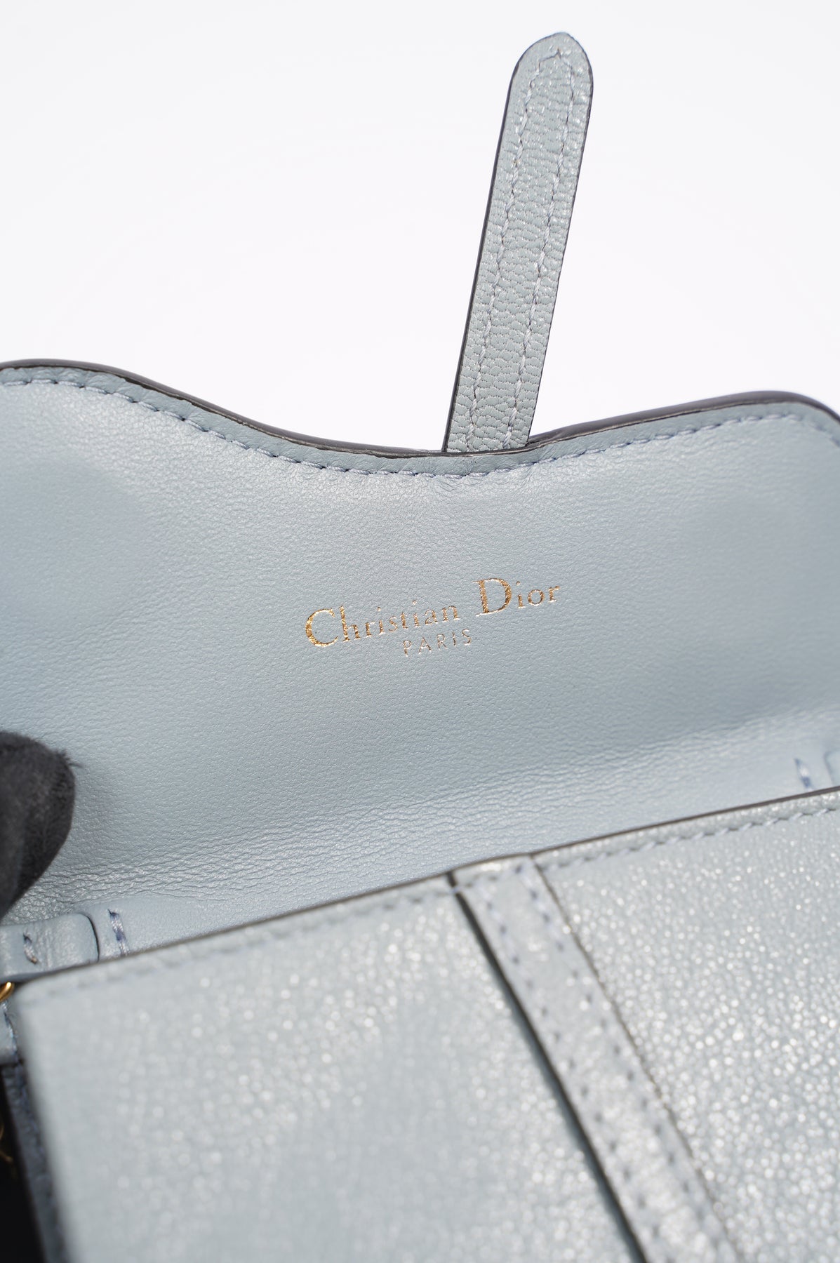 Christian Dior Nano Saddle Pouch